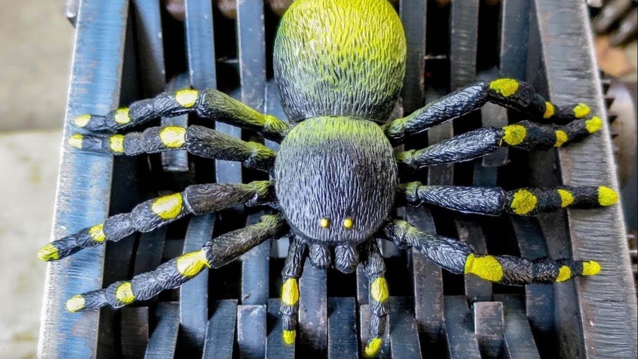 youtube bug squish youtube bug squish