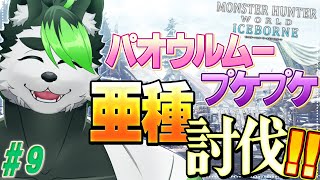 【モンハンワールド:アイスボーン】亜種亜種討伐じゃぁ！！！！！【こうの人】