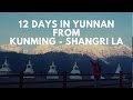Travel Freedom Channel: Yunnan 12 days trip from Louping-Yuanyang-Shangri La-Fielai Si-Lijiang