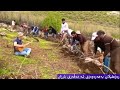 ڕەز کێڵان لەدەڤەری بارزان