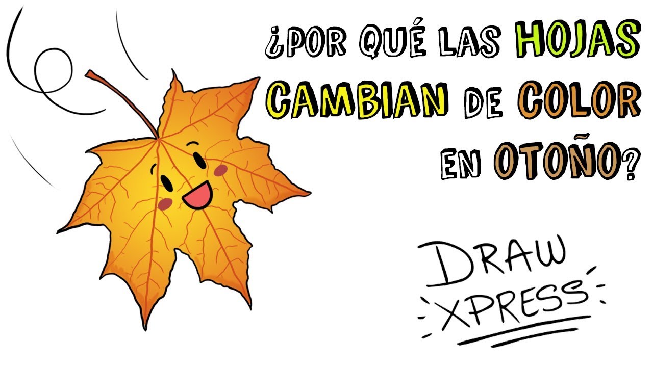 POR QUÉ LAS HOJAS CAMBIAN DE COLOR EN OTOÑO? ? | Draw My Life - YouTube