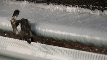 LeafGuard® Brand Gutters in Action