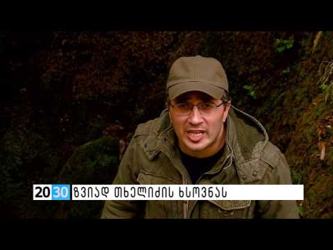 ზვიად თხელიძის ხსოვნას /2030 (01.06.2016.)/