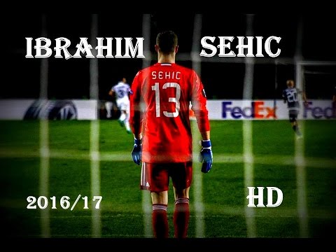 Ibrahim Šehić - Best Saves ● Qarabag | 2016/2017 HD