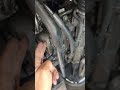 the leak you dont wamt to find #radiator #auto #mechanic #mobilemechanic #bmw