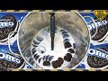 Will 500 Oreos Absorb A Gallon Of Milk?