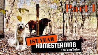 1st Year Homesteading On YouTube (pt. 1)