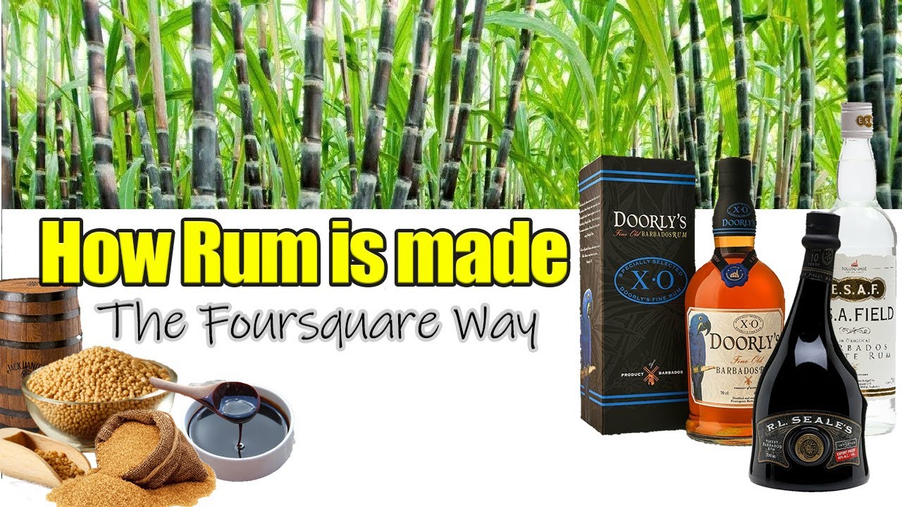 foursquare rum distillery barbados tour