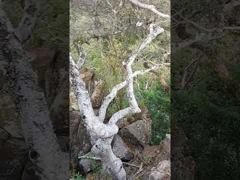 Экскурсия в Сан-Себастьян-дель-Оэсте
