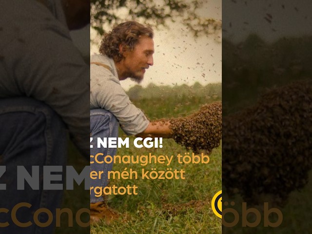Videó borítókép