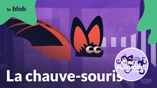 La chauve-souris, les oreilles ont parfois des yeux | Les super-pouvoirs du vivant