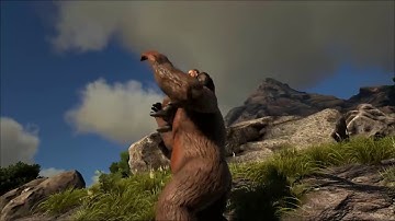 Spotlight Gigantopithecus!