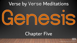 Verse by Verse Meditations - Genesis 5:24