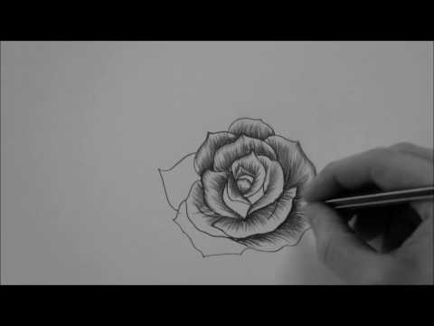 How to draw a Rose In 10 Minutes step by step Real Time