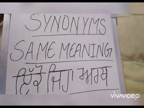 hypothesis synonyms in punjabi