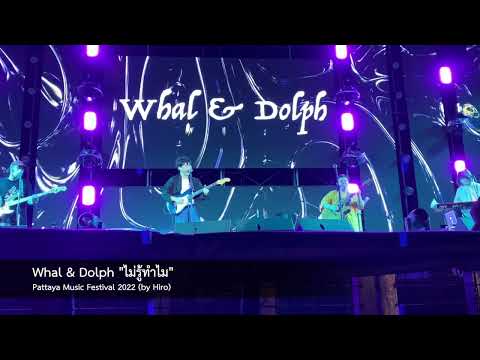 Watch Whal & Dolph "ไม่รู้ทำไม" @ Pattaya Music Festival 2022 on YouTube