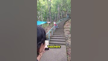 They Slide to School Instead of Walking 😳