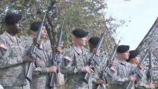 Veterans' thoughts on Memorial Day