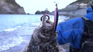 #022 東京都新島　サーフからのマダイ