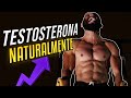 6 Formas de Aumentar Testosterona Naturalmente