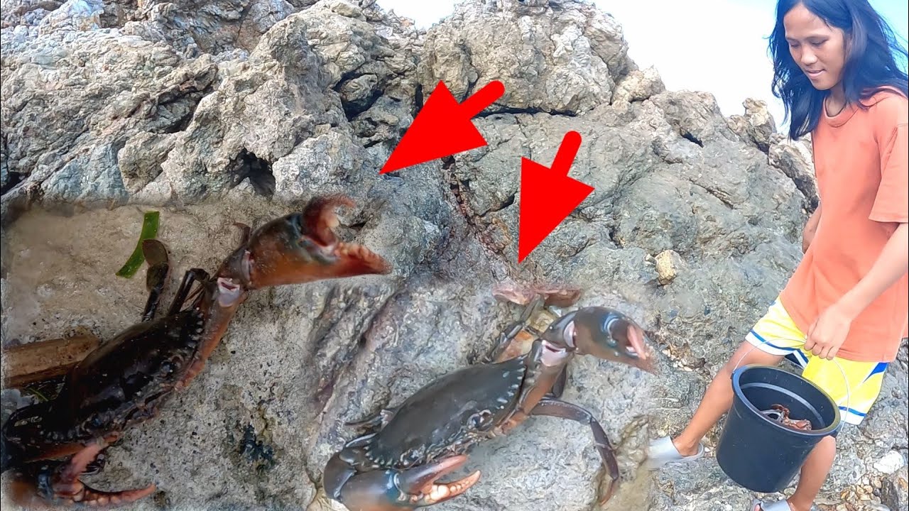 Naaktohan Hindi akalaing Naglabasan!