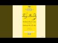 Miniature de la vidéo de la chanson Symphony No. 4 In E-Flat Major: Ii. Adagio -