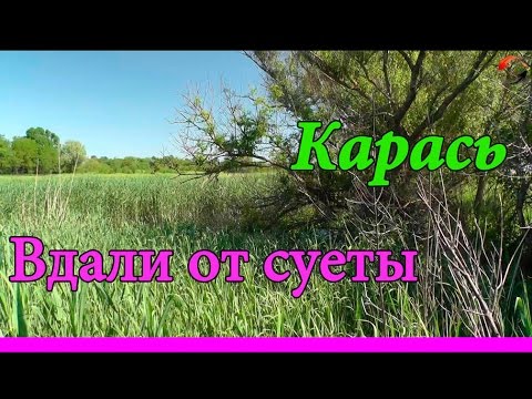 удочка снаряженная поплавочная