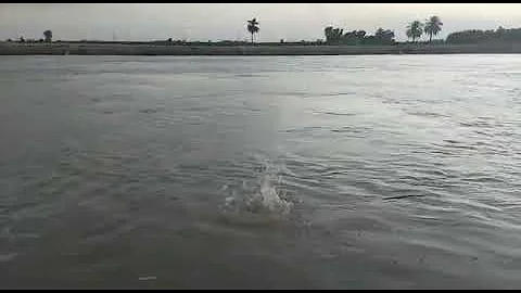 Beautiful view of my village (Tando Soomro) Canal