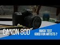 New camera CANNON 80D - Good for Artists.