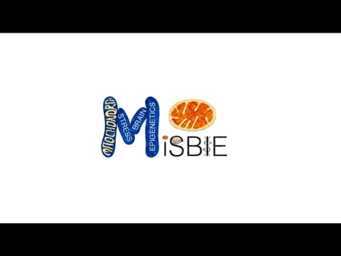 2025 MiSBIE Symposium at Columbia University