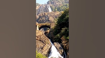 Goa Dudhsagar Waterfalls 🏞️ #shorts #goa #waterfalls #dudhsagar