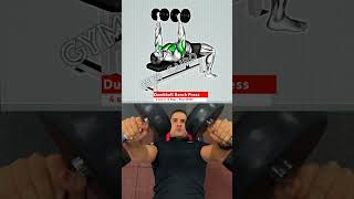 تمارين الصدر في الجيم شرح تمرين البنش بالدمبل دفع بالدمبل للصدر |dumbbell bench press