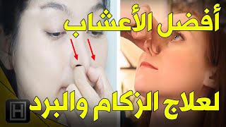 علاج الزكام ونزلات البرد والأنفلونزا بأفضل الطرق والأعشاب