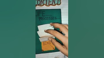 Biology Project file...........Topic:Life processes    Class-10th 📑📑  Done by Kanishka ☺️☺️