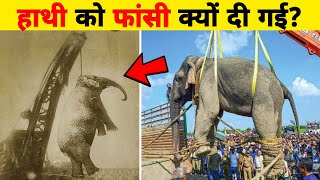हाथी को दी फाँसी | Hathi ko fansi ki saja | When An Elephant Was Punished | Mary Elephant