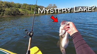 This Lake Has Tons of Bass - Early Spring Bass Fishing with Friends (RAW FOOTAGE)