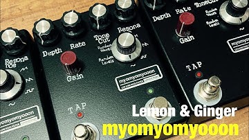 Lemon & Ginger  myomyomyooon  LFO LOW PASS FILTER PEDAL