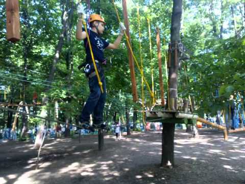 Video: Sokolniki Bog'i Qanday Rivojlanmoqda