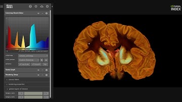 NVIDIA IndeX on Google Cloud Platform Marketplace