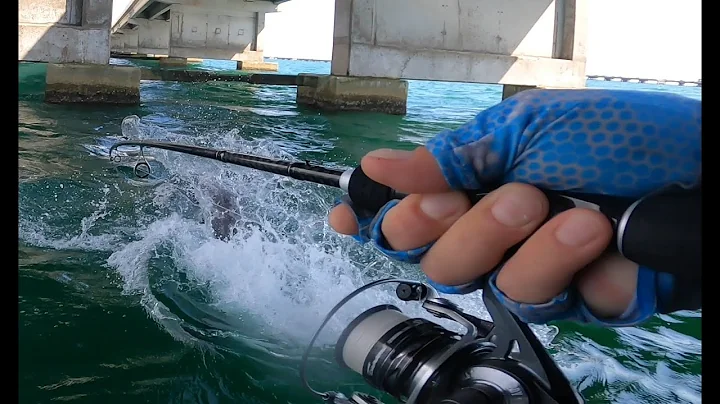 Dolphin Attacks Jack! Insane day of fishing followed by The Dolphins Revenge Clip!