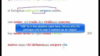 AP Latin read through, Aeneid Book 6, lines 295-332