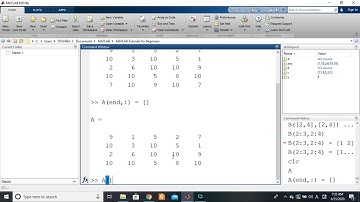 MATLAB 5.20. Arrays - Indexing (deleting rows and columns)