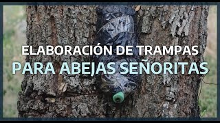 Tutoriales para manejo de meliponicultura (abejas señoritas)