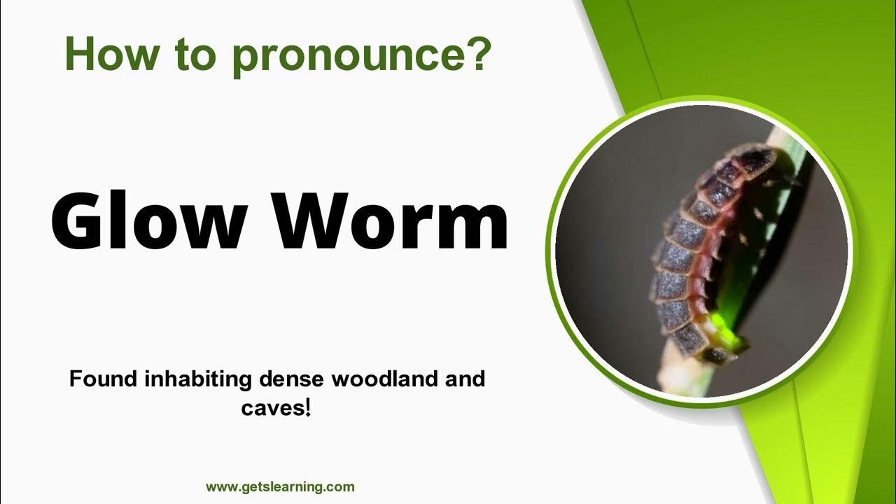 How to Pronounce Glow Worm in English Correctly YouTube