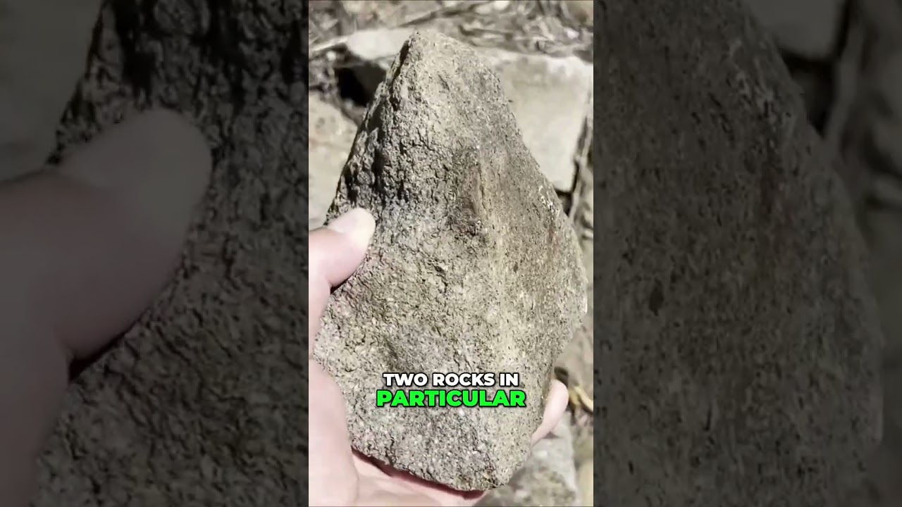 What Makes a Murder Weapon? 