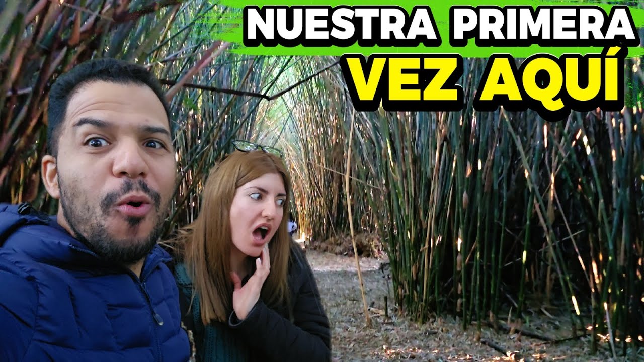 NUNCA PENSAMOS VER ESTO EN URUGUAY 🇺🇾 - Quinta Capurro - Santa Lucía, Canelones #uruguay