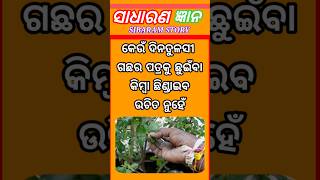 Top 15 GK Question 🤔💥|| ODIA Question ✍️|| GK Question and Answer ! Part-251