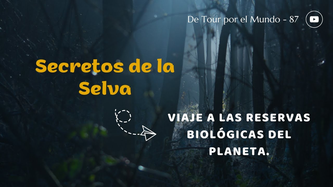 Explora los Secretos de la Selva / Viaje a las