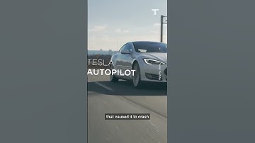 Tesla Lawyers: Elon Musk Or Deepfake?  #shorts