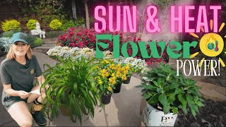 PLANT THESE NOW! | Turn Up the Summer Color | What to Plant in your Texas Garden for Instant Impact!